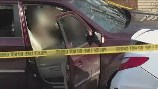 911 transcript reveals details of ICE shooting of Renee Good