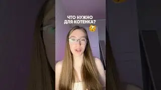 ЧТО НУЖНО КУПИТЬ ДЛЯ КОТЕНКА? Спрей для лотка ВБ: 453153131, спрей для когтеточки на ВБ: 271212409