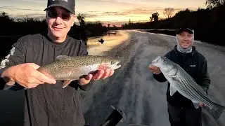 Feather River Striped Bass & Steelhead Combo