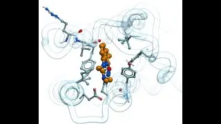 MolSoft ICM 3D Ligand Editor - Drug-Receptor Interaction Analysis and Design