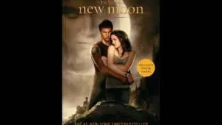 NEW MOON OFFICIAL POSTERS (CALENDERS & BOOK COVERS)
