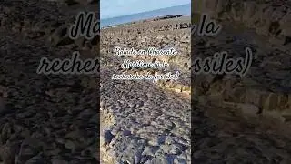 balade d&eacute;tente en Charente Maritime avec ses fossiles