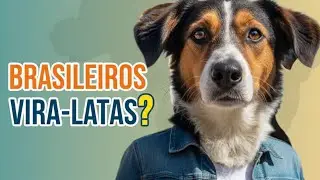 PORQUE EXISTE TANTOS BRASILEIROS VIRA -LATAS