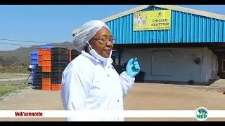 Vuk'uzenzele | Grandchicks Abattoir