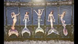 Weeki Wachee Mermaid Show Intro