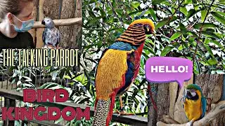 BIRD KINGDOM | TALKING PARROT | TRAVEL ONTARIO | ANIMAL ENCOUNTERS