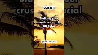 Stalking your crush on social media.... #pshychologyfacts #shorts #subscribe #crushfacts