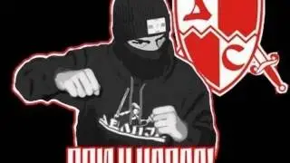 Delije Sever - Snaga