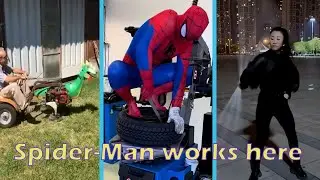 Spider-Man works here#funnyvideo#Relaxing#Humorous#Surprising#comedy#surprise#shocked
