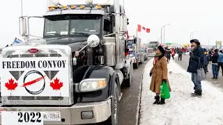 MEANWHILE IN CANADA.... 🇨🇦 #TRUCKERCONVOY