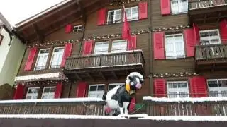 Walking Through Wengen . Switzerland .