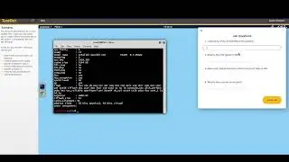9.1.6 View /proc Information