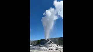 The Loyal Kinfolk Vlog | Wyoming Road Trip Part 4: Yellowstone National Park