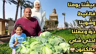 عيشنا يومنا وسط الخضرة فالغيط🍀وشوينا احلي ذرة علي الفحم وشاي الخمسينة♥️عوضت اولادي بيوم فاخر🙈