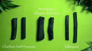 Charbon actif (Takesumi, Binchotan et Francais) : filtre, purifie et min&eacute;ralise l'eau courante