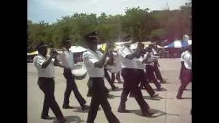DSCN0581 Marche guerriere [1804] Orchestre  du  Palais National