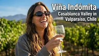Винья Индомита, жемчужина долины Касабланки в Вальпараисо, Чили #VinaIndomita #ValparaisoChile