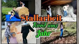 Stallarbeit bei Pferden rund ums Jahr - Alles was au&szlig;er F&uuml;ttern &  Ausmisten noch zu tun ist 🍁❄️🌺🌻