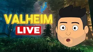 Building My LODGE in VALHEIM!