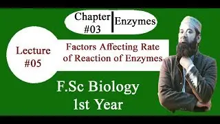 Biology Ch#03-Lecture#05 Factors affecting rate of reaction of enzymes (F.Sc 1st Year)