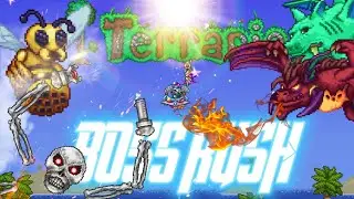 Terraria Boss Rush: Daedalus Stormbow vs All Bosses