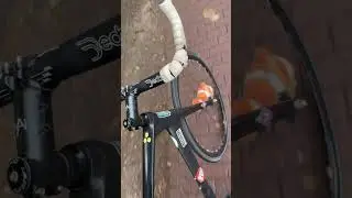 #brakeless #cycling #clownfish #hamburg #adidas #blackpink