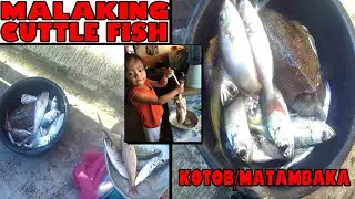 DAY 22 | MALAKING CUTTLE FISH O KOBUTAN , MATAMBAKA, GAPAS... NASIPIT(ADN) PANGLALAMBAT~NET FISHING