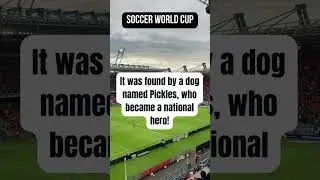 The Incredible Story of the Stolen 1966 World Cup Trophy and Pickles the Dog! #shorts #football