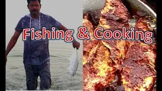 Fishing & Cooking In Hameem Beach/Abu Dhabi/UAE