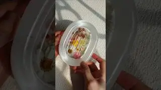 Resin Soap Dish / Handcrafted Tray / Shopee Tokopedia by Enoile
