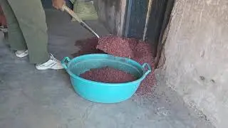 Life on a farm/how to clean agricultural products.#farmer#farming#tractor