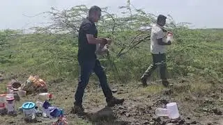 Wildlife week 2025 / 31 snake rescue &Release/forest department/conservation 