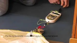 How to Control Your CCC Paraglider: Wing Span and Trailing Edge
