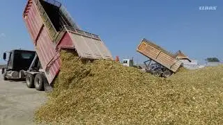 Future Farm - Forage Innovations with MasterGraze
