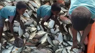 Amazing Little Girl's Traditional Mud Fishing Style in Bangladesh That Will Shock You
