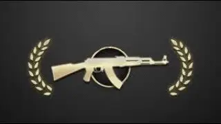 FACECAM + MASTER GUARDIAN II  - CS:GO Wingman