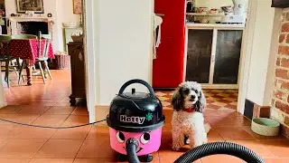 Weekly Home Blessing Routine | Vacuum Hard Floors | Clean With Kate  #flyladysystem #cleanwithme