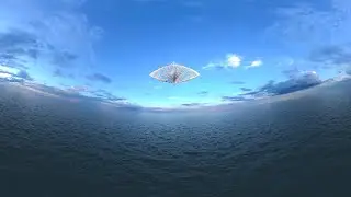 【VR 360&deg;- 4KHD】 AQUAMORPH SPECIMEN: ZYLEN