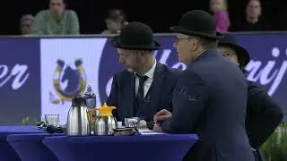 HK 2026 - Event 2 - Studbook Stallions 13 years and older - English