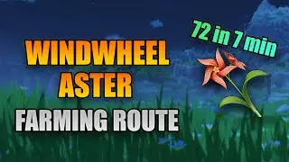 Windwheel Aster Locations & Farming Route Guide | Genshin Impact