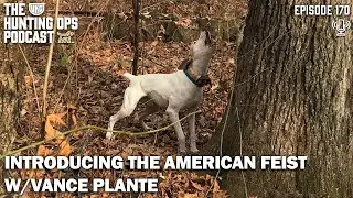 UKC Hunting Ops Podcast Ep. 170 &ndash; Introducing the American Feist w/Vance Plante