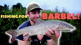 Feeder Fishing For Barbel on a Yorkshire River