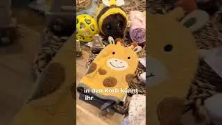 Babygeschenk diy Das ist kinderleicht und bekommt wirklich jeder hin!#vegan #shots #shorts