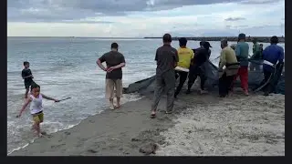 Wow‼️ Unexpectedly Fishermen Catch Giant Trevally🤩