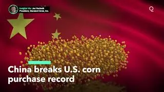 China Makes Record Purchases of U.S. Corn