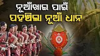 'Nabanna' Reaches To Goddess Samaleswari Of Sambalpur For Nuakhai Festival | Argus Digital