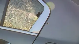 'All suspects in custody' following shooting in Spotsylvania, police say