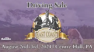 Yearling Sale - 2024 East Coast Harness Horse Sale