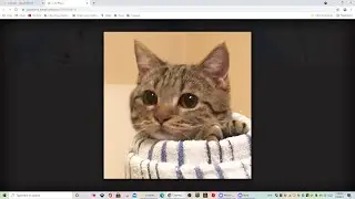 playing and trying to verify 