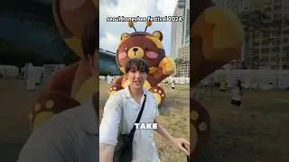 seoul honeybee festival 2024 🐝🍯